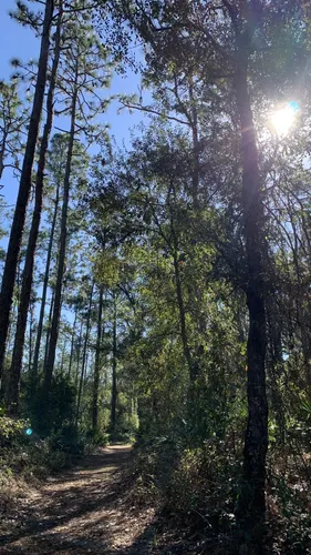 10 Best Trails and Hikes in Lakeland | AllTrails