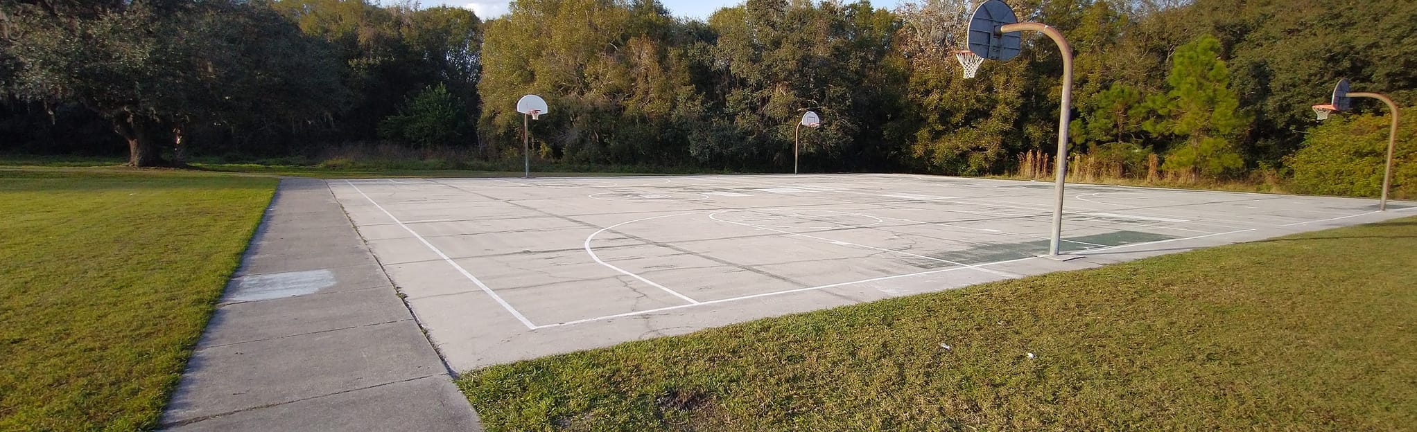 Boyette Springs Park Path, Florida 24 Reviews, Map AllTrails