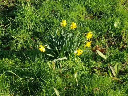 Vieillevigne les meilleures randonnées avec site historique en 2023