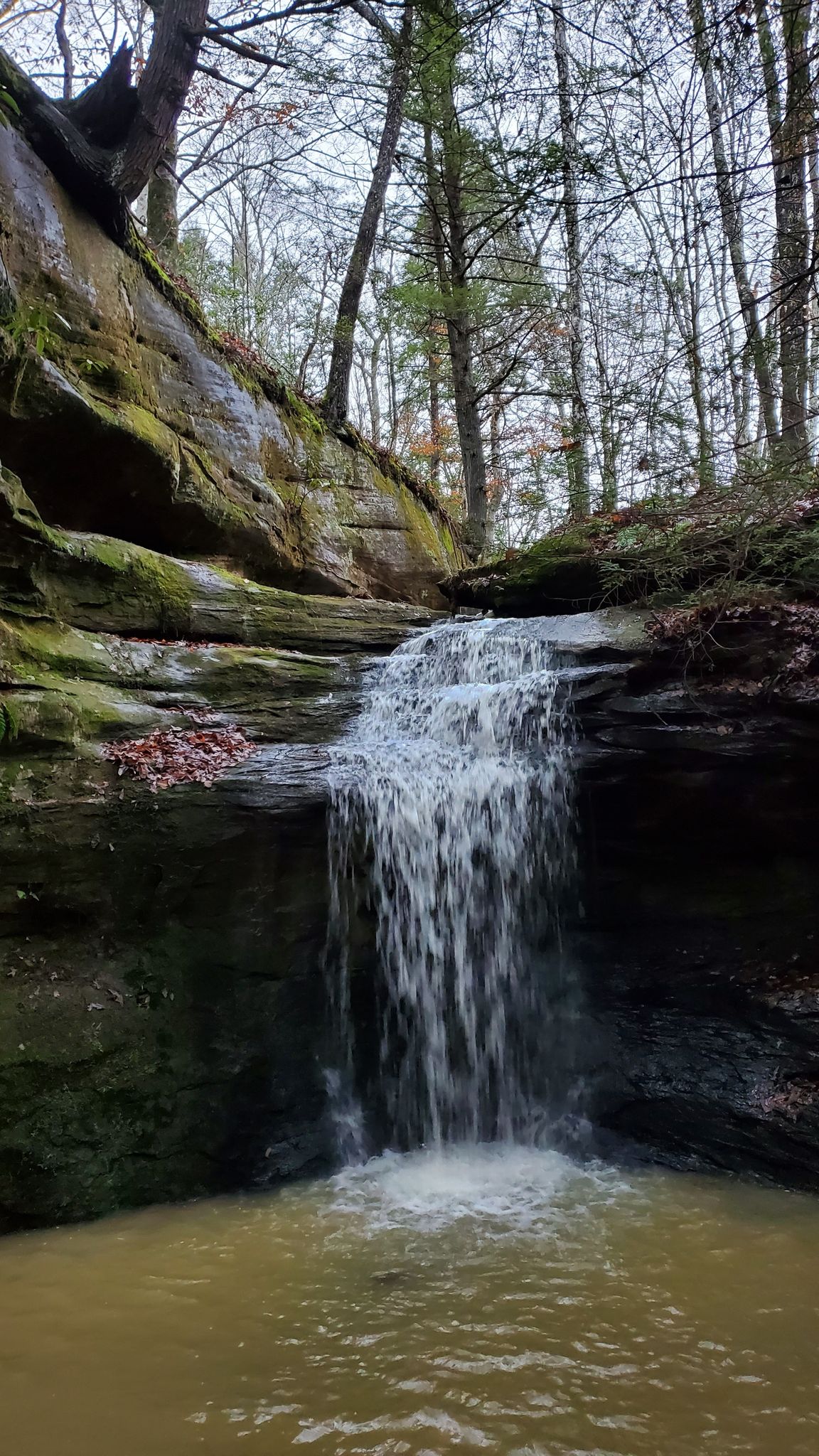 Glade branch trail 2025 kentucky