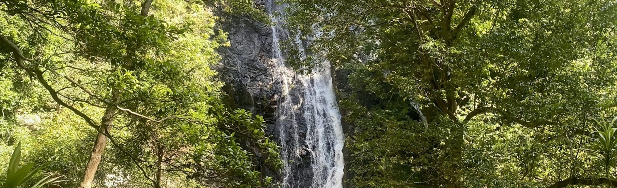 Sunshine Coast Hinterland Great Walk Baroon Dam Section, Queensland, Australia 252 Reviews