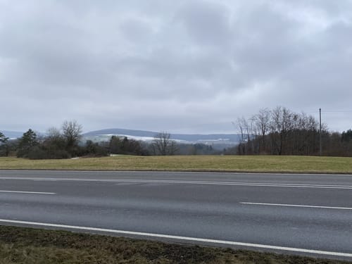 Durch den Forst bei Obermarchtal