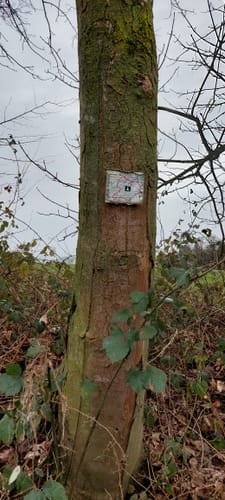 Cappenberg Rundweg T