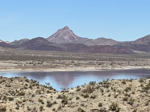 Alamo lake state deals park