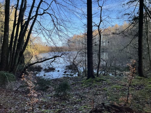 Wanderung zum Glashäger Quelltempel