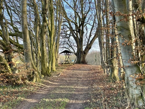 Wanderung zum Glashäger Quelltempel