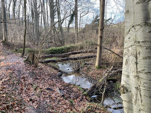 Wanderung zum Glashäger Quelltempel