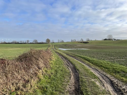 Wanderung zum Glashäger Quelltempel