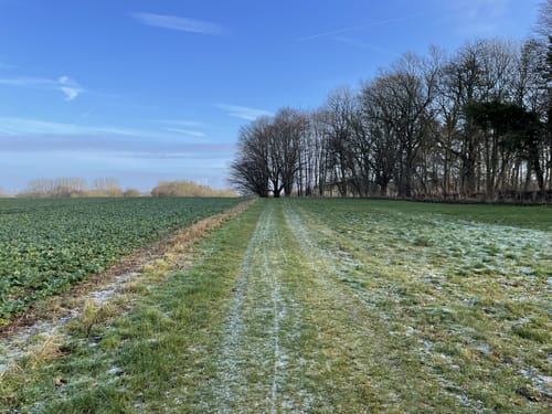 Wanderung zum Glashäger Quelltempel