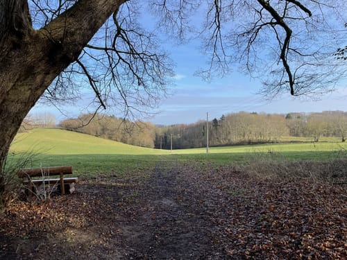 Wanderung zum Glashäger Quelltempel