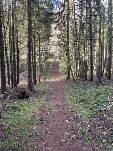Wanderung zum Glashäger Quelltempel