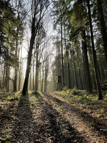 Wanderung zum Glashäger Quelltempel