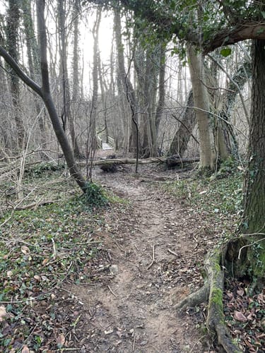 Wanderung zum Glashäger Quelltempel
