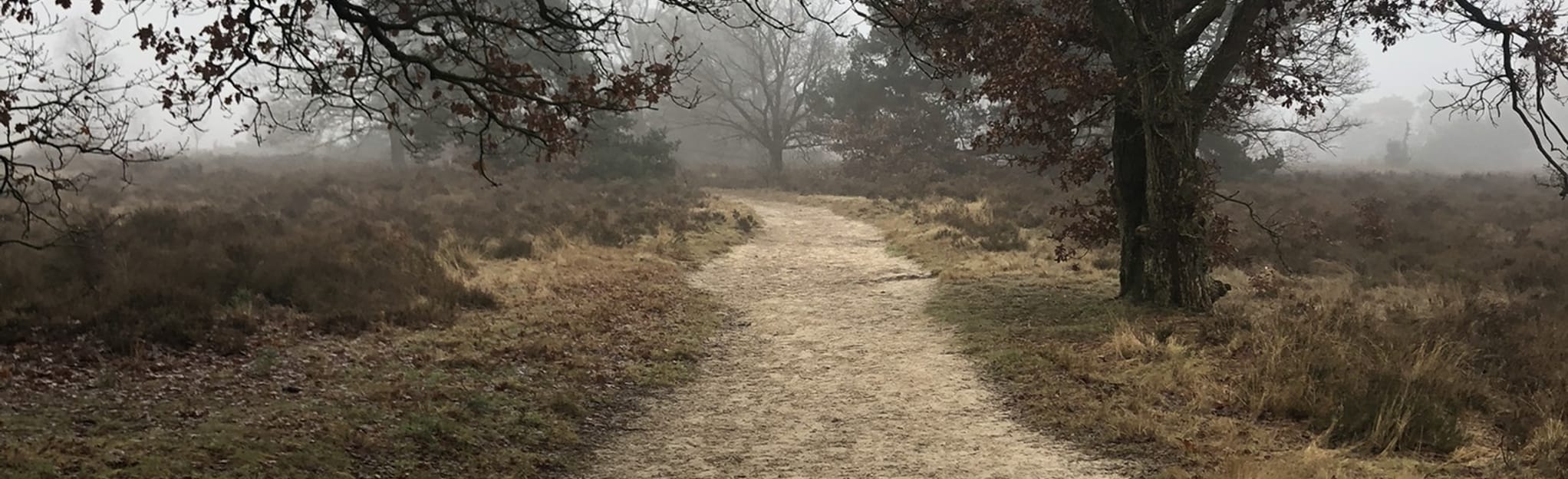 De Zanding Mosselse Zand 18 Reviews, Map Gelderland, Netherlands