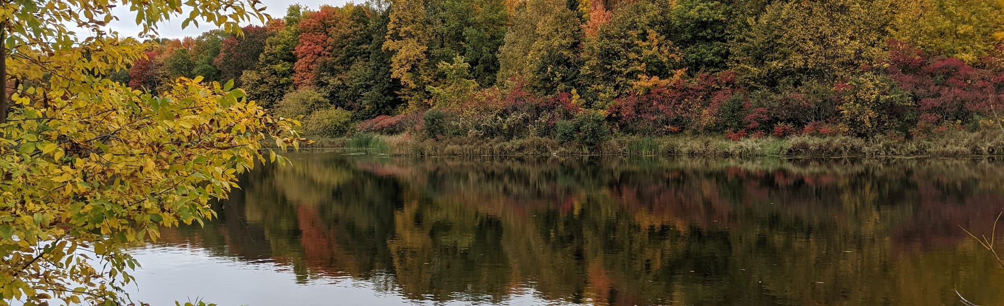 Beaver Pond Park, Ontario, Canada 308 Reviews, Map AllTrails