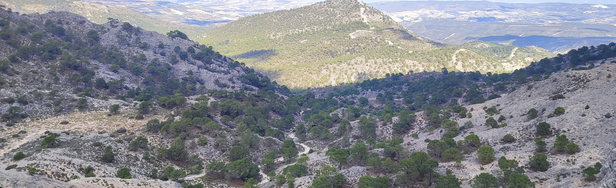 Cómpeta - Cerro Lucero, Málaga, Spain - 10 Reviews, Map | AllTrails