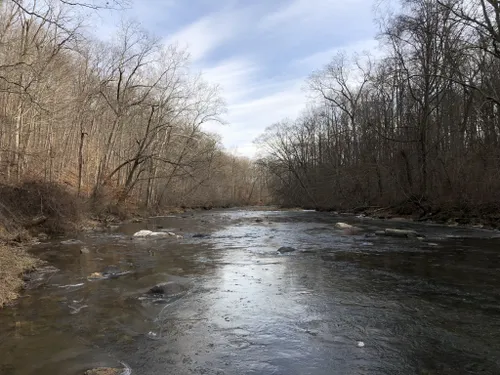 Escape to Serenity: Maryland's Palmer State Park Awaits