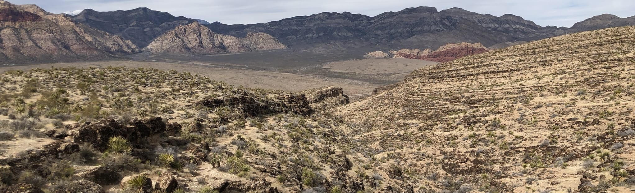Rock Garden, Fossil Canyon and Second Finger Loop Nevada AllTrails