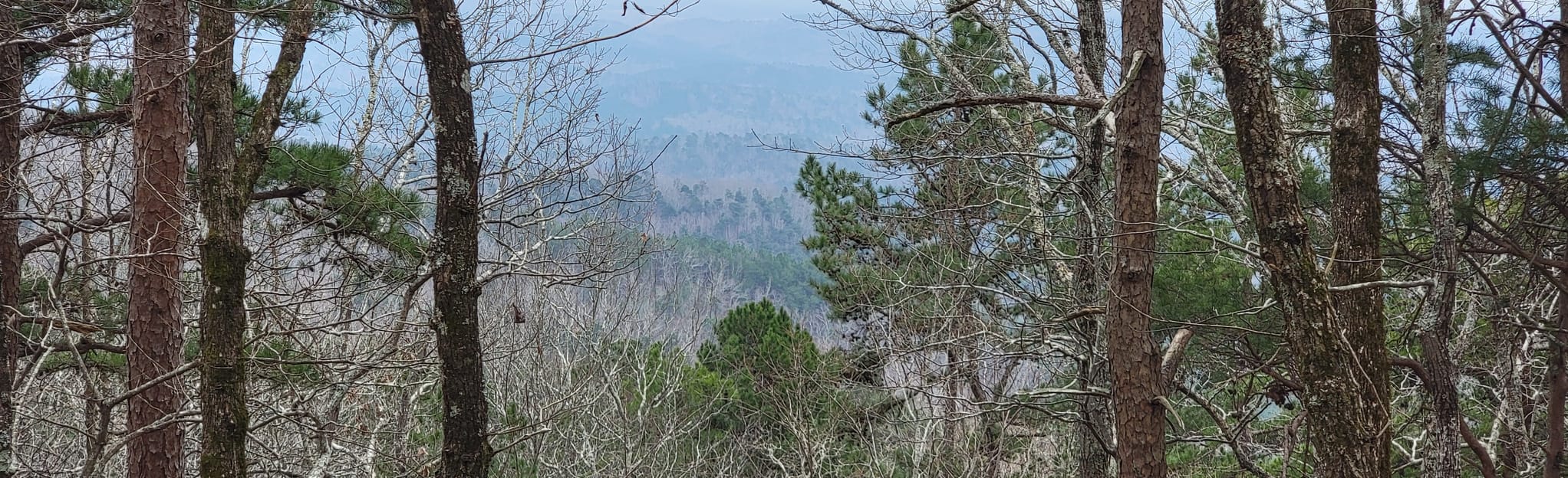 Dugger Mountain via Pinhoti Trail, Alabama 75 Reviews, Map AllTrails