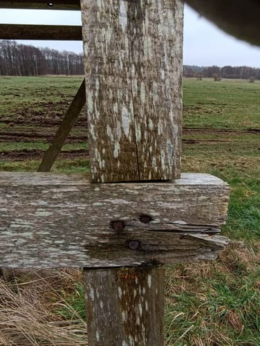 Von Bergen auf Rügen zur Insel Pulitz