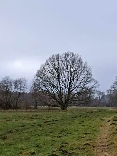 Von Bergen auf Rügen zur Insel Pulitz