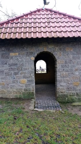 Durch die Rheinhessische Toscana