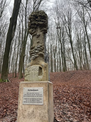 Itzenplitzer Pingenpfad (Premiumwanderweg)