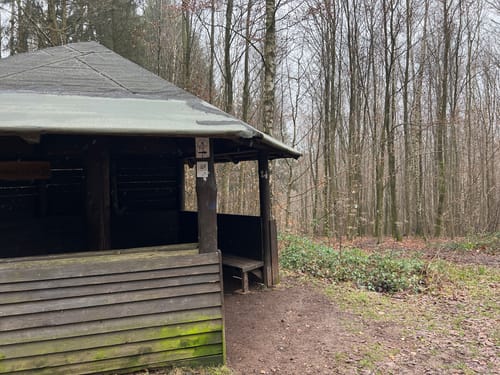 Itzenplitzer Pingenpfad (Premiumwanderweg)