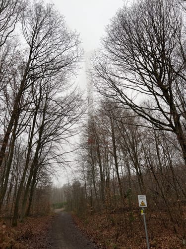 Itzenplitzer Pingenpfad (Premiumwanderweg)