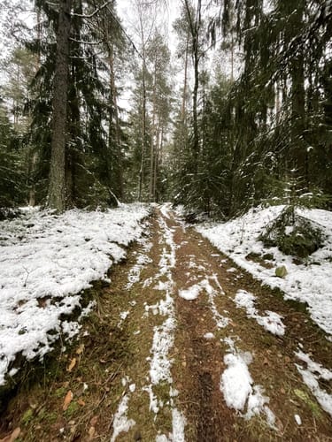 3-Gipfel Weg Hirschau