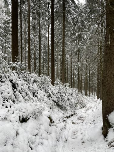 3-Gipfel Weg Hirschau