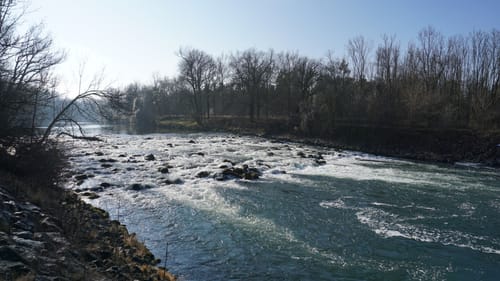 An der Isar zwischen Grüneck und Achering