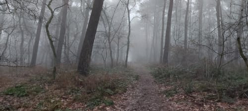 Landstreifer (Haard an der Grenze)