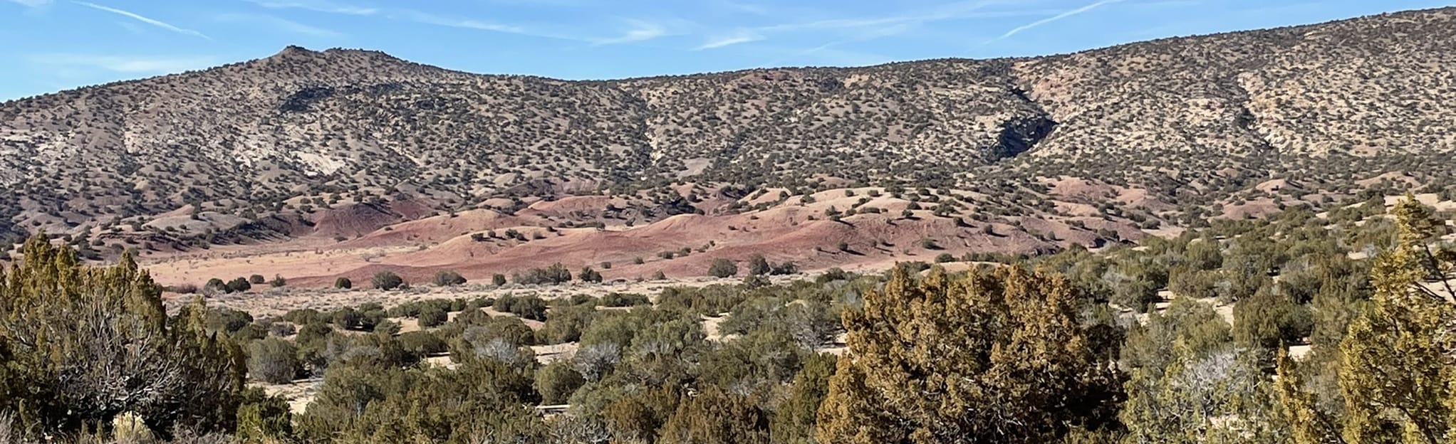 San Ysidro Trail Loop, New Mexico 269 Reviews, Map AllTrails