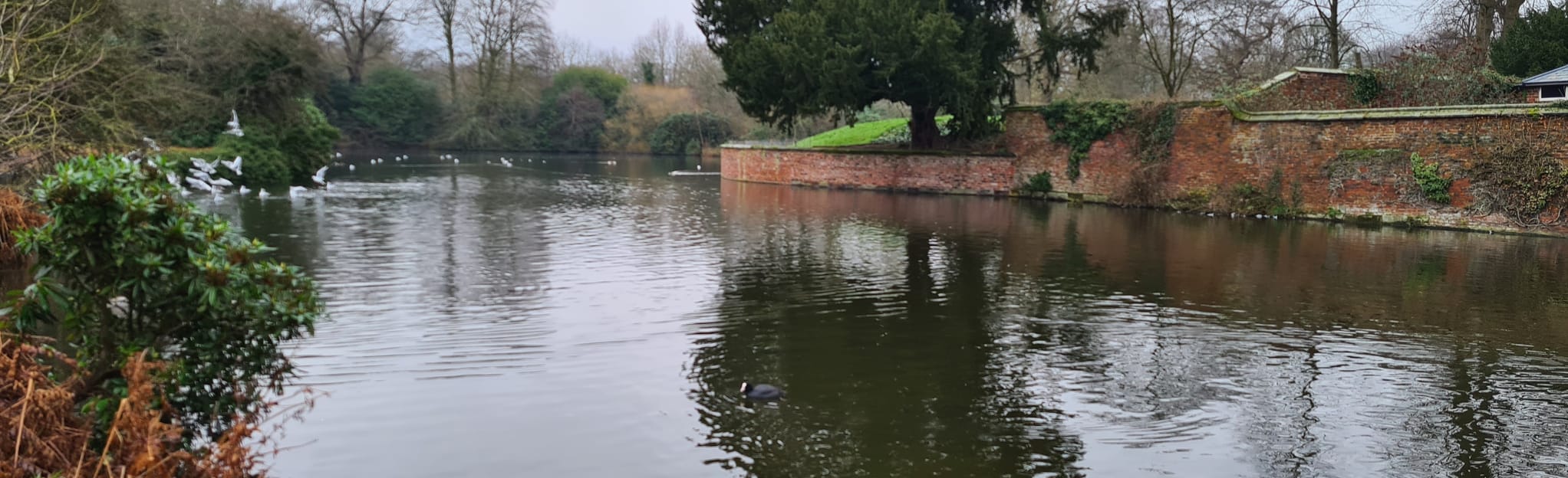 Dunham Massey Short Circular, Greater Manchester, England 9 Reviews