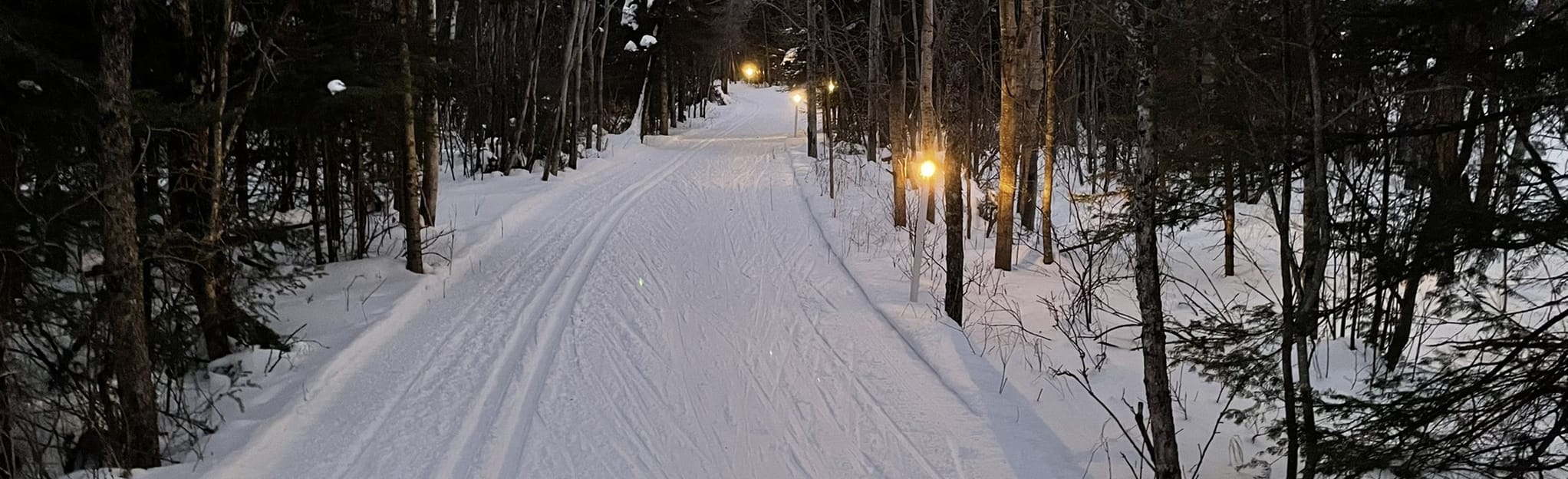 Erkki Harju Ski Trails Loop, Minnesota 17 Reviews, Map AllTrails