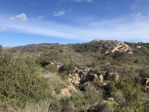 Manchester Preserve Hiking Trails Best 10 Trails In Manchester Preserve | Alltrails