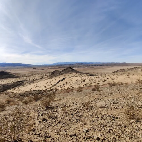 Best Dog Friendly Trails in Joshua Tree AllTrails