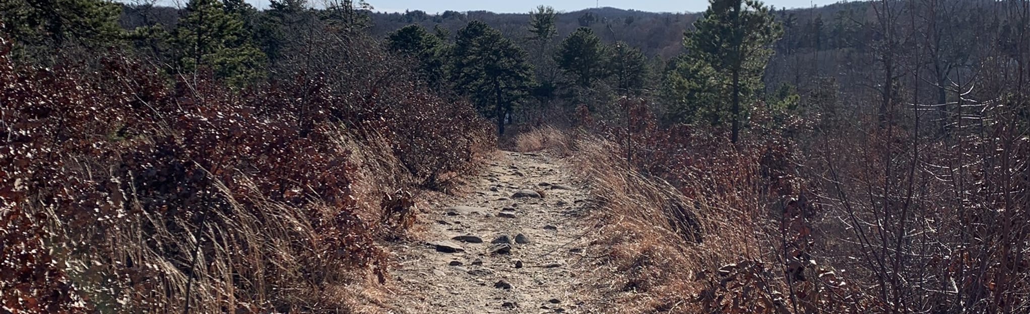 Stevens, Edgewood, Weir Hill, and Scrub Oak Trail Loop Massachusetts