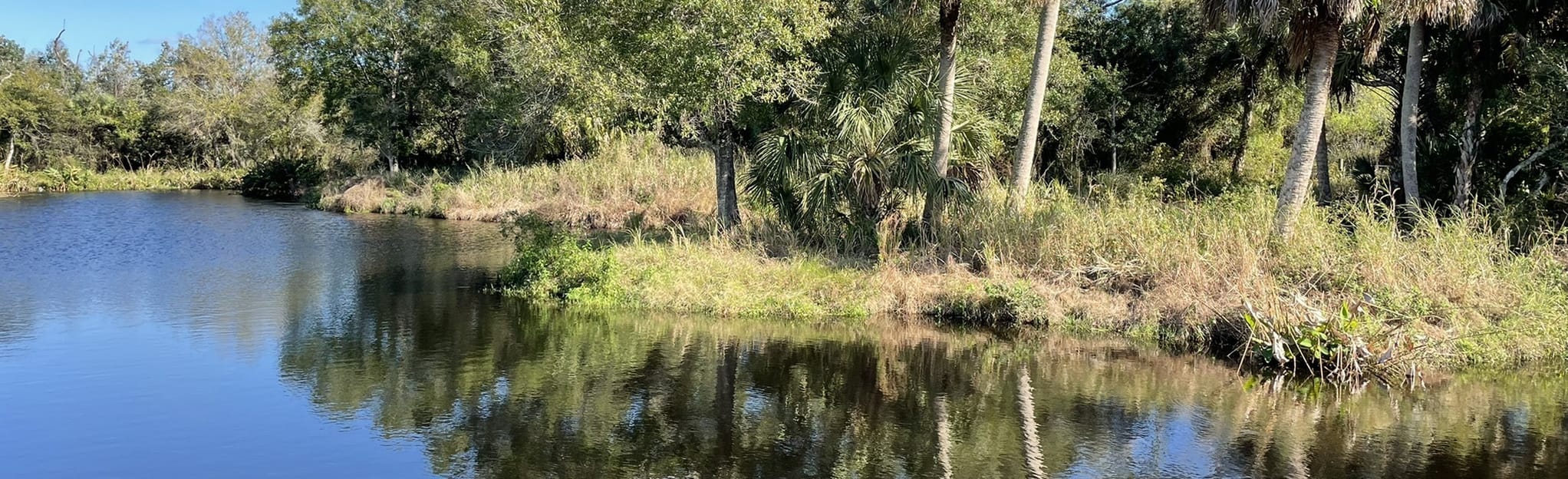 D. J. Wilcox Preserve Interpretive Trail Florida AllTrails