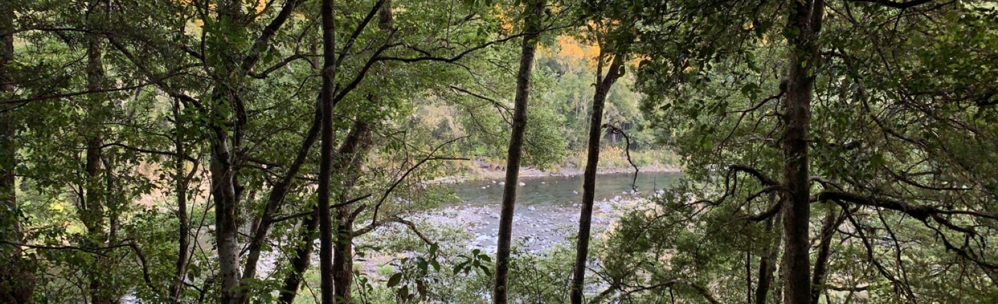 Urchin Campsite to Pillars of Hercules Waikato, New Zealand AllTrails