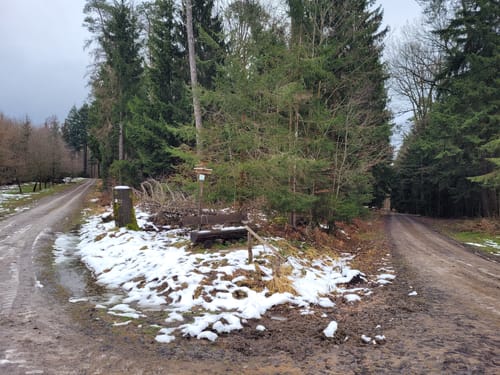 Wirtheim - Friesenheiligen - Kreuzung Drehscheibe - Flörsbach (Nr. 4)