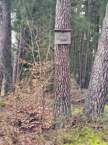 Wirtheim - Friesenheiligen - Kreuzung Drehscheibe - Flörsbach (Nr. 4)