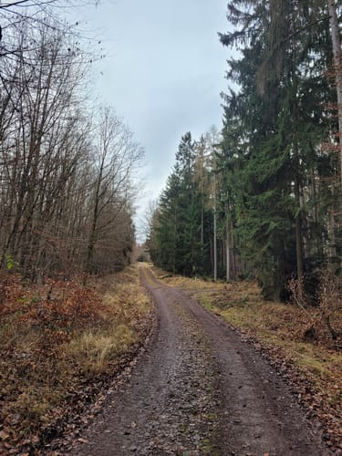 Wirtheim - Friesenheiligen - Kreuzung Drehscheibe - Flörsbach (Nr. 4)