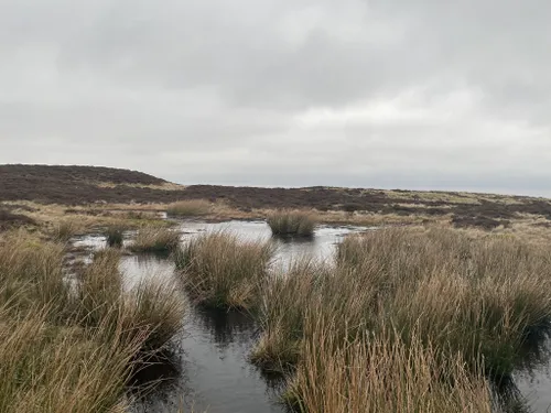 10 Best Trails, Walks, And Paths In Fife 