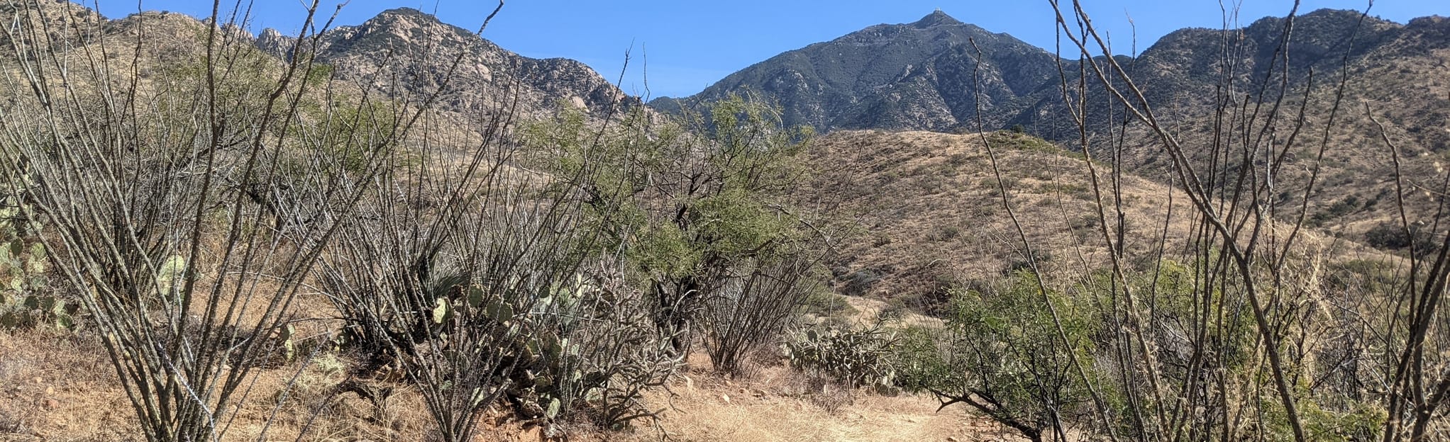 Little Elephant Head via Canyon, Arizona 25 Reviews, Map AllTrails