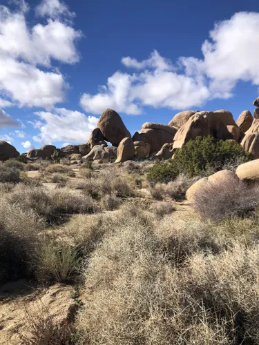 Best hikes in joshua tree sale