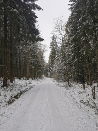 Rinnlstein-Rundweg Historische Zeiten
