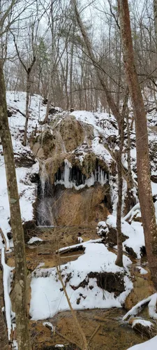 Best Hikes and Trails in Falls Ridge Nature Preserve | AllTrails