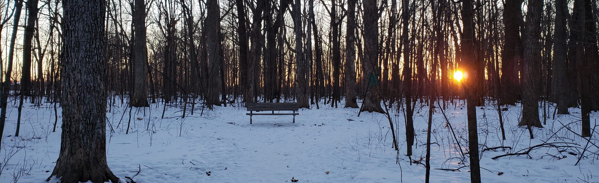 Memorial Park Loop, Wisconsin 89 Reviews, Map AllTrails